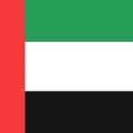 dubai flag.webp